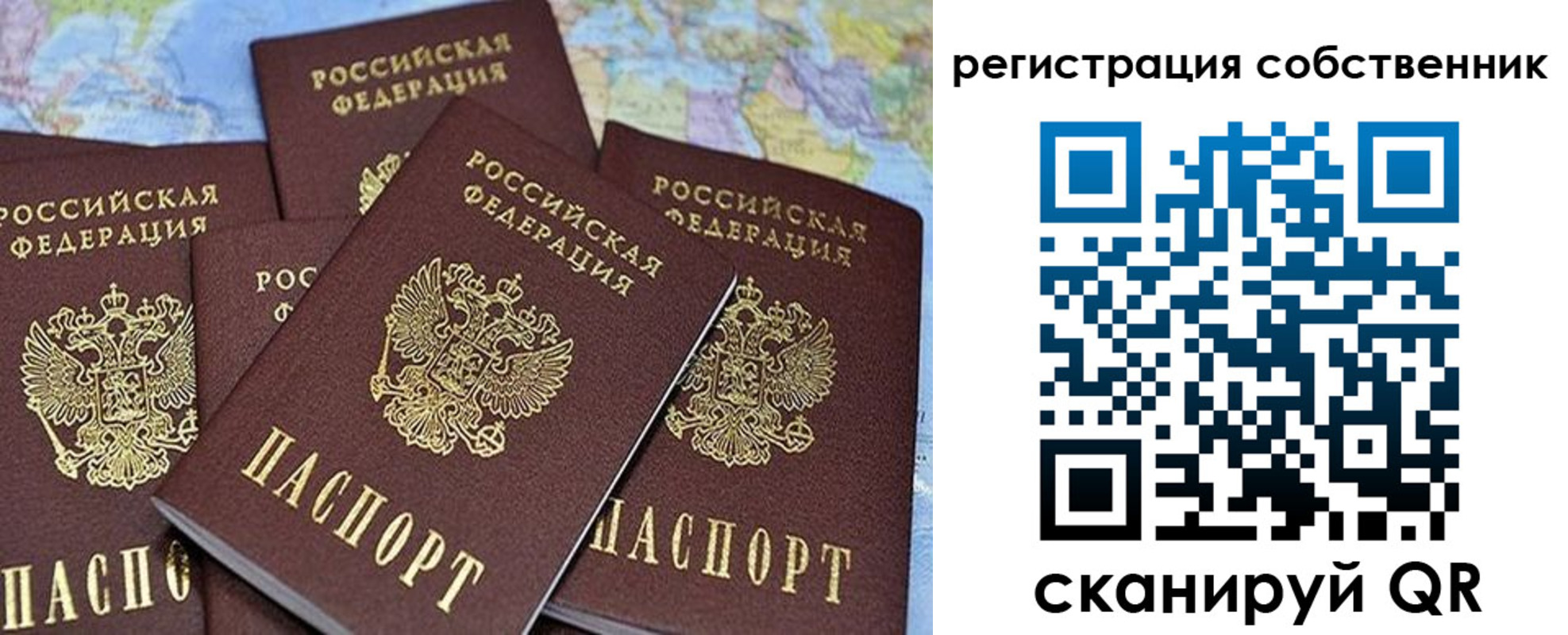 прописка для школы в Тихвине